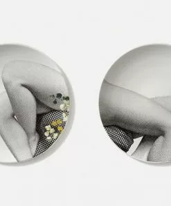 Les Jardins Royaux Ibride Porcelain Parnasse Automne Set Of 2