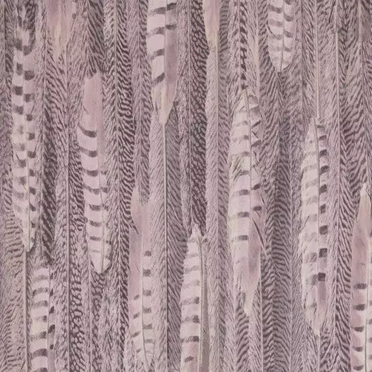 BN Wallpaper & Paint Curious Collection Wallpaper - Feathered Veil Light Tones 6 BN Wallpaper & Paint Curious Collection Wallpaper - Feathered Veil Light Tones