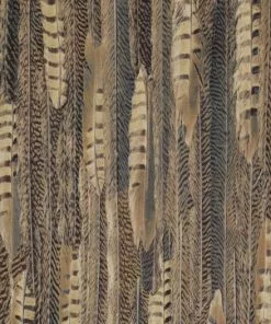 BN Wallpaper & Paint Curious Collection Wallpaper - Feathered Veil Dark Tones