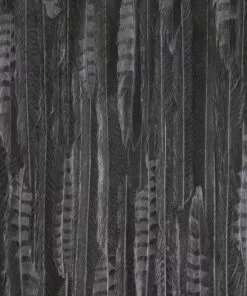 BN Wallpaper & Paint Curious Collection Wallpaper - Feathered Veil Dark Tones