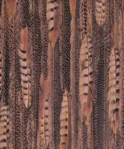 BN Wallpaper & Paint Curious Collection Wallpaper - Feathered Veil Dark Tones