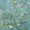 BN Van Gogh Mural Almond Blossom - Sky
