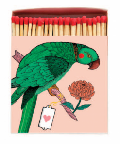 Archivist Gallery Match Boxes - Airane Parrot