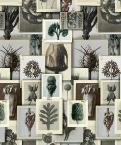 Mind The Gap The Craftsman Blossfeldt's Art Form Wallpaper