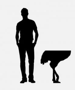 Ibride Diva Ostrich Brushed Gold