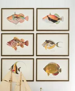 Mind The Gap Havana Tropicana Nakunuku Fish Wall Art