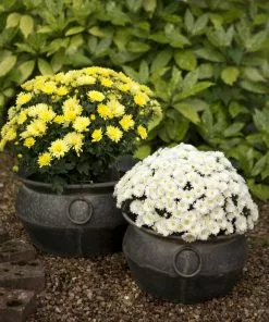 London Ornaments Ollam Pots Set Of Three Blue Skies Ahead