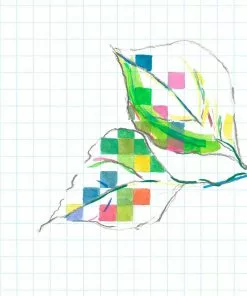 The Monkey Puzzle Tree 'She Chose Science' Superwide Wallpaper By Sarah Thornton