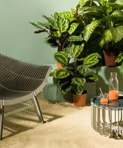 Thedesignyarduk Manta Outdoor Armchair