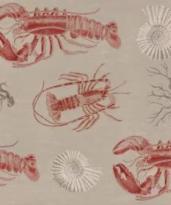 Thedesignyarduk Lobster Wallpaper 10 Thedesignyarduk Lobster Wallpaper