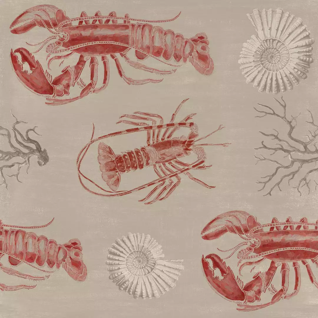 Thedesignyarduk Lobster Wallpaper 5 Thedesignyarduk Lobster Wallpaper