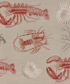 Thedesignyarduk Lobster Blue Wallpaper 12 Thedesignyarduk Lobster Blue Wallpaper