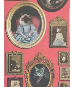 The Graduate Collection Les Jardins Royaux Cavalcade Of Cats Wallpaper