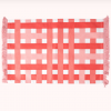 Rice By Rice Gingham Cotton Placemat In Red & Pink New