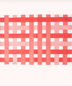 Rice By Rice Gingham Cotton Placemat In Red & Pink New