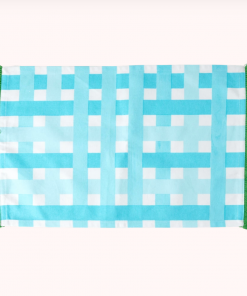 Rice By Rice Gingham Cotton Placemat In Blue & Green New