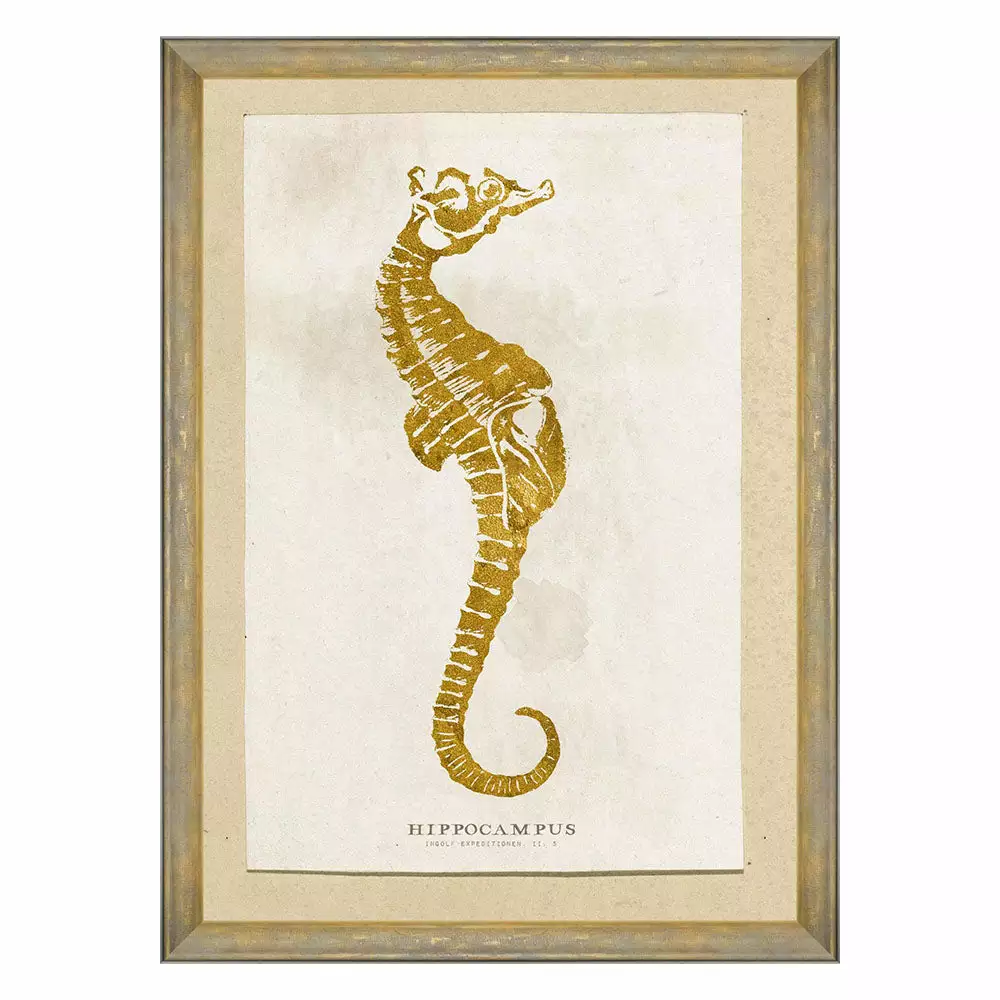 Mind The Gap Sea Life Hippocampus Wall Art Blue Skies Ahead 3 Mind The Gap Sea Life Hippocampus Wall Art Blue Skies Ahead