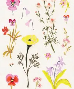 Candice Gray New A3 Wildflower Floral Print