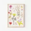 Candice Gray New A3 Wildflower Floral Print