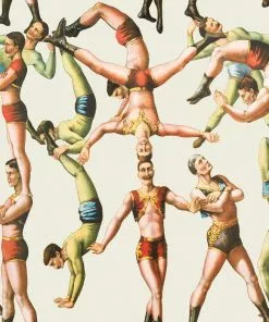 Mind The Gap The Acrobats Wallpaper Wallpaper & Paint