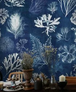 Mind The Gap Algae Moss Wallpaper Blue Skies Ahead 9 Mind The Gap Algae Moss Wallpaper Blue Skies Ahead