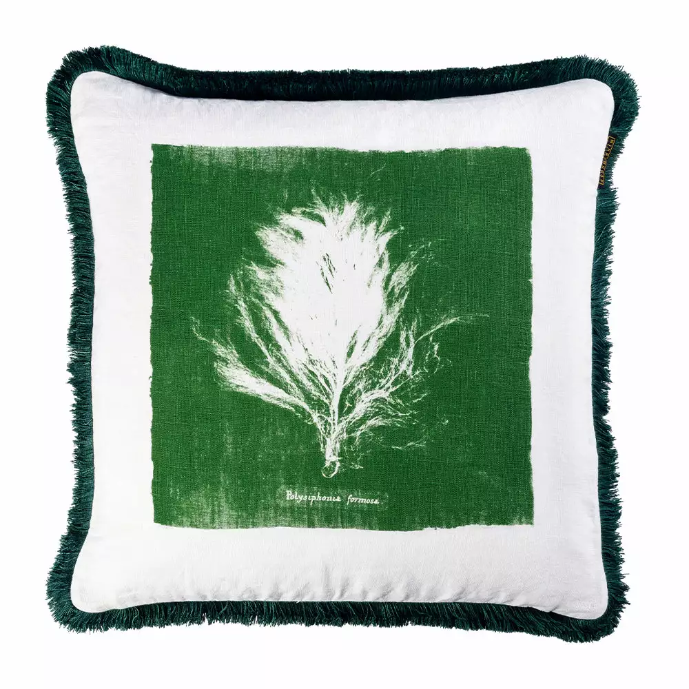 Mind The Gap Algae II / Palmera Cubana Cushion 3 Mind The Gap Algae II / Palmera Cubana Cushion