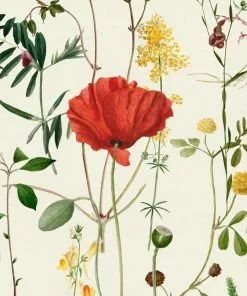 Mind The Gap Aquafleur Aquamarine Wallpaper New