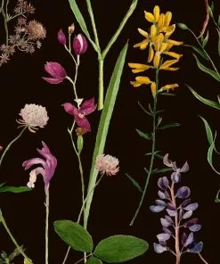 Mind The Gap New Aquafleur Anthracite Wallpaper