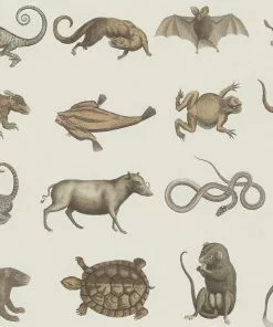 Mind The Gap Seba's Ark Wallpaper