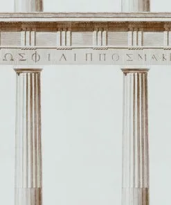 Mind The Gap Athena Moss Wallpaper