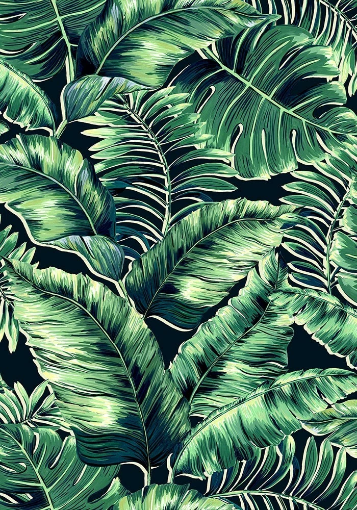 Brand Mckenzie Banana Leaves Max Wallpaper, Leaf Green 5 Brand Mckenzie Banana Leaves Max Wallpaper, Leaf Green