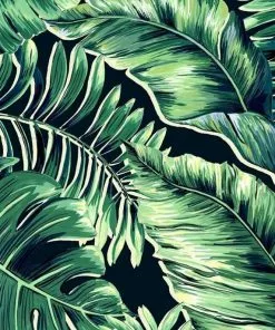 Brand Mckenzie Banana Leaves Max Wallpaper, Leaf Green