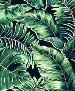 Brand Mckenzie Banana Leaves Wallpaper, Leaf Green Memphis To Miami
