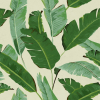 Mind The Gap Banana Leaves Wallpaper Havana Tropicana