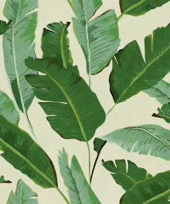 Mind The Gap Banana Leaves Wallpaper Havana Tropicana