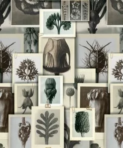 Mind The Gap The Craftsman Blossfeldt's Art Form Wallpaper