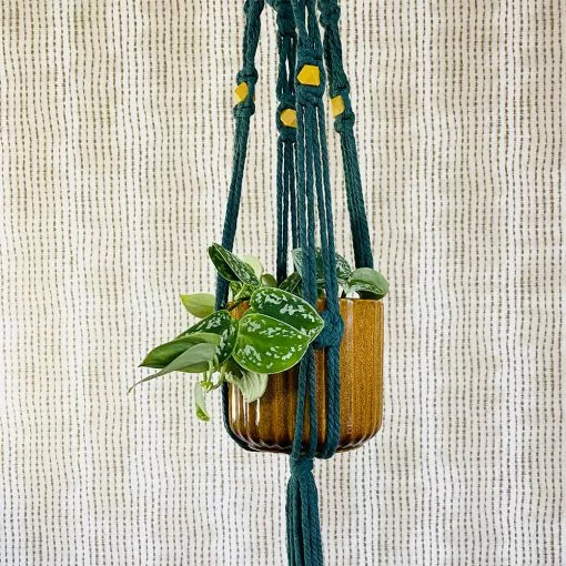 The Design Yard Macrame Green Plant Hanger With Yellow Beads Gifts Galore 2 The Design Yard Macrame Green Plant Hanger With Yellow Beads Gifts Galore
