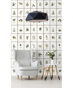 Mind The Gap Botany Wallpaper Les Jardins Royaux 9 Mind The Gap Botany Wallpaper Les Jardins Royaux