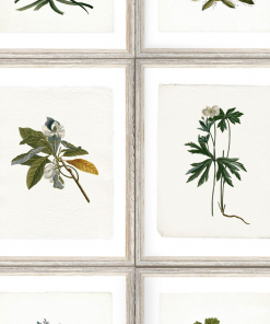 Mind The Gap Botany Wallpaper Les Jardins Royaux 8 Mind The Gap Botany Wallpaper Les Jardins Royaux