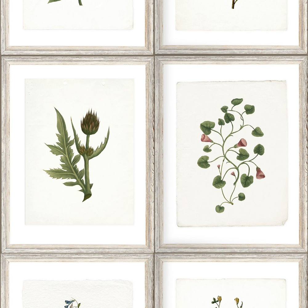 Mind The Gap Botany Wallpaper Les Jardins Royaux 3 Mind The Gap Botany Wallpaper Les Jardins Royaux