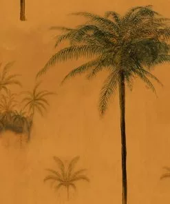 Mind The Gap Cayo Largo Sunset Wallpaper