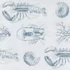Thedesignyarduk Lobster Blue Wallpaper
