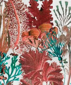 Mind The Gap Coral Reef Ultramarine Wallpaper Rose & Thorn 8 Mind The Gap Coral Reef Ultramarine Wallpaper Rose & Thorn