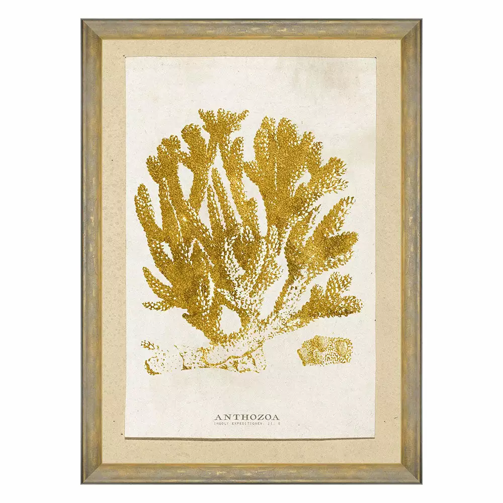 Mind The Gap Havana Tropicana Sea Life Anthozoa Coral Wall Art 3 Mind The Gap Havana Tropicana Sea Life Anthozoa Coral Wall Art