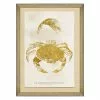 Mind The Gap Sea Life Athropoda Crustacea Wall Art Havana Tropicana
