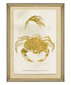 Mind The Gap Sea Life Athropoda Crustacea Wall Art Havana Tropicana