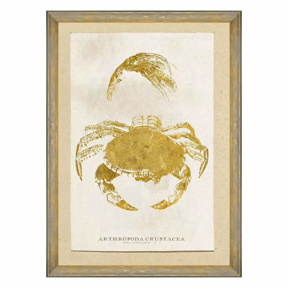 Mind The Gap Sea Life Athropoda Crustacea Wall Art Havana Tropicana 3 Mind The Gap Sea Life Athropoda Crustacea Wall Art Havana Tropicana