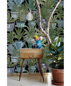 Mind The Gap Havana Tropicana Echeveria Wallpaper