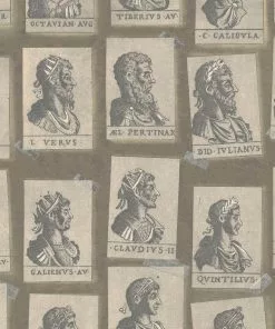 Mind The Gap Emperors Taupe Wallpaper Wallpaper & Paint