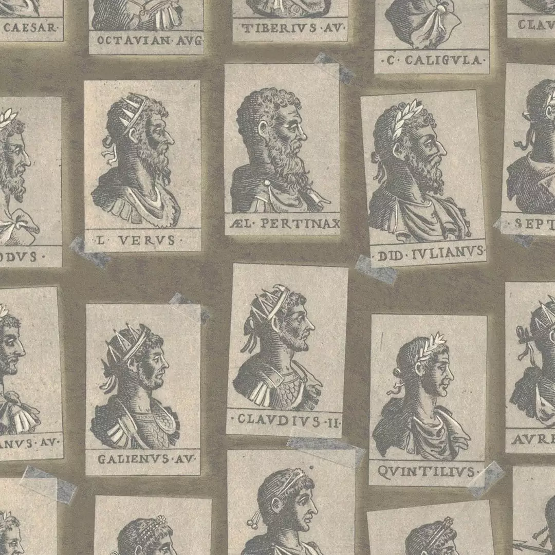 Mind The Gap Emperors Taupe Wallpaper Wallpaper & Paint 3 Mind The Gap Emperors Taupe Wallpaper Wallpaper & Paint